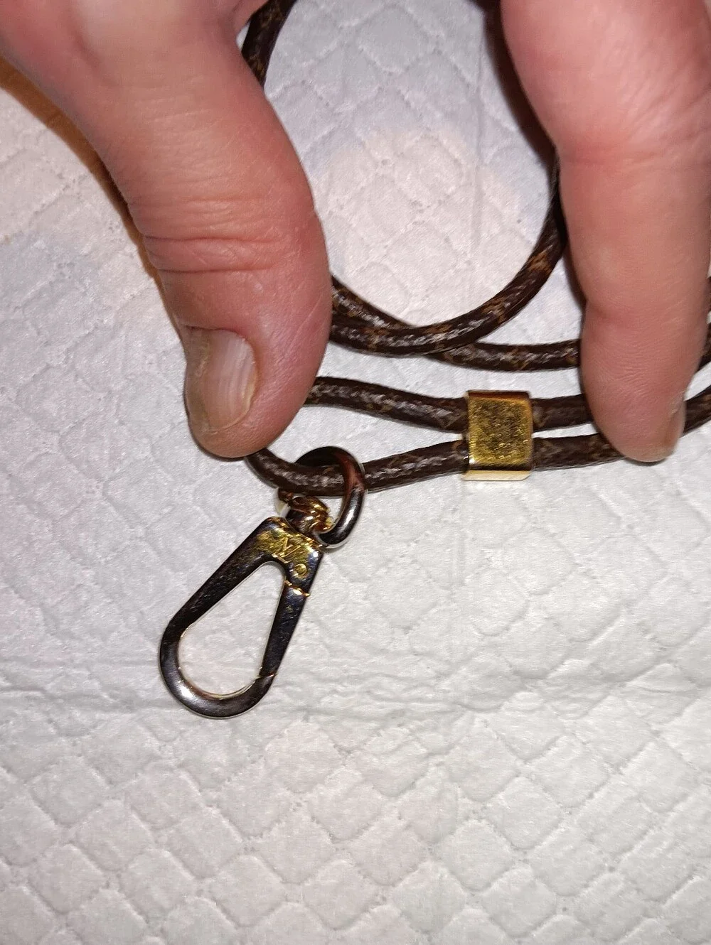 Louis Vuitton Monogram Crossbody Dog Leash